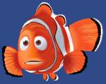 The Nemo Kid's Photo